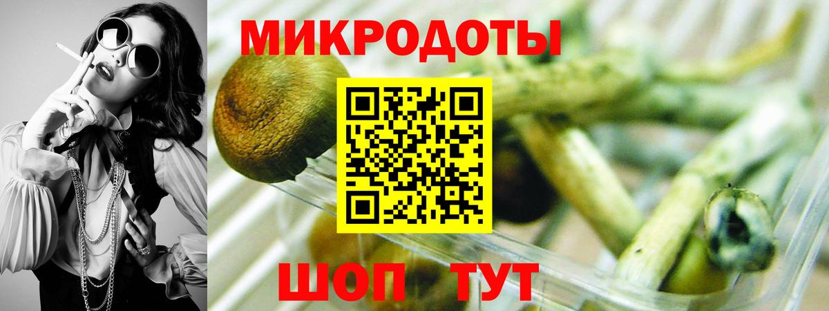 Галлюциногенные грибы ЛСД  Вход с VPN  Междуреченск 
